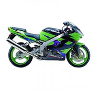 2002-2003 Kawasaki ZX9R Fairings Canada Websites