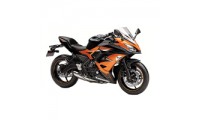 2017-2019 Kawasaki Ninja 650 EX650 Fairings Canada Websites