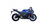 2022-2024 Yamaha R25 Fairings Canada Websites