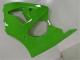 2000-2002 Kawasaki ZX6R Motorcycle Fairings - Green Black Canada Websites