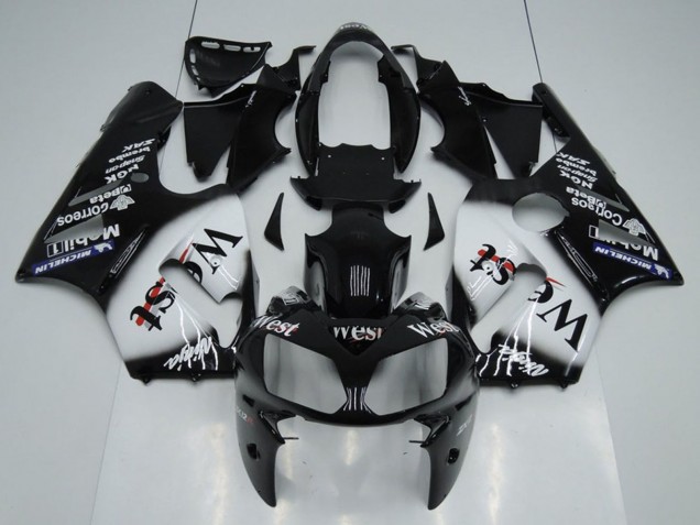 2002-2006 Kawasaki ZX12R Motorcycle Fairings - Glossy Black White West Canada Websites