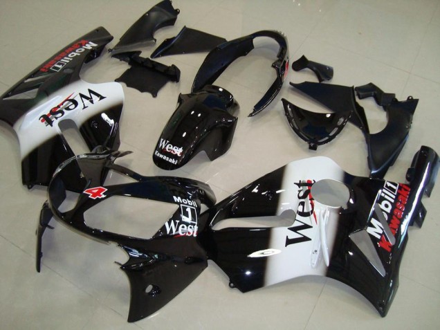 2002-2006 Kawasaki ZX12R Motorcycle Fairings - Glossy Black White West Red Canada Websites