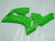 2005-2006 Kawasaki ZX6R Motorcycle Fairing - Green Canada Websites