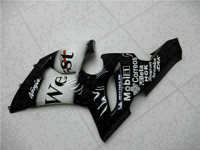 2005-2006 Kawasaki ZX6R Motorcycle Fairings - Glossy Black White West Canada Websites