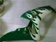 2006-2007 Honda CBR1000RR Motorcycle Fairings - White Green Flame Canada Websites