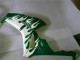 2006-2007 Honda CBR1000RR Motorcycle Fairings - White Green Flame Canada Websites