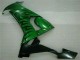 2008-2010 Kawasaki ZX10R Motorcycle Fairings - Glossy Black Green Flame Canada Websites