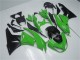 2009-2012 Kawasaki ZX6R Motorcycle Fairing Kits - Green Glossy Black Canada Websites