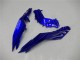 2013-2024 Kawasaki Ninja 300 EX300R Motorcycle Fairings - Blue Black White Flame Canada Websites