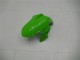 2013-2024 Kawasaki Ninja 300 EX300R Motorcycle Fairings - White Green Black Canada Websites