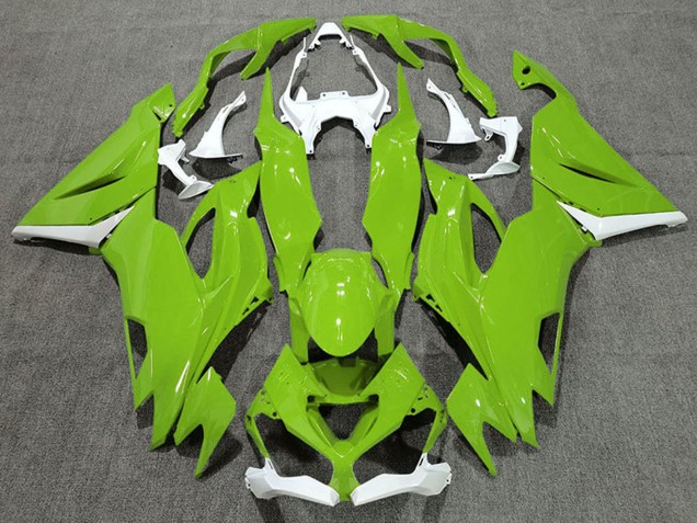 2019-2022 Kawasaki ZX6R Motorcycle Fairings - White Green Canada Websites