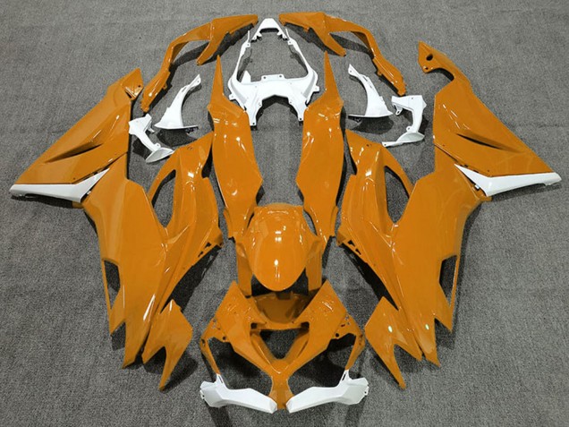 2019-2022 Kawasaki ZX6R Motorcycle Fairings - White Orange Canada Websites