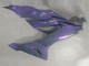 2019-2022 Kawasaki ZX6R Motorcycle Fairings - Chameleon Grey Dazz Pearl Purple Canada Websites