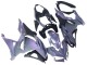 2024-2025 Kawasaki Ninja 500 EX500R Motorcycle Fairings - Chameleon Grey Dazz Pearl Purple Canada Websites