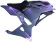 2024-2025 Kawasaki Ninja 500 EX500R Motorcycle Fairings - Chameleon Grey Dazz Pearl Purple Canada Websites