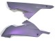 2013-2024 Kawasaki EX300 Motorcycle Fairings - Chameleon Grey Dazz Pearl Purple Canada Websites