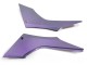 2013-2024 Kawasaki EX300 Motorcycle Fairings - Chameleon Grey Dazz Pearl Purple Canada Websites