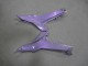 2020-2025 Kawasaki Ninja 650 EX650 Motorcycle Fairings - Chameleon Grey Dazz Pearl Purple Canada Websites