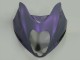1996-2007 Suzuki GSXR 1300 Hayabusa Motorcycle Fairings - Chameleon Grey Dazz Pearl Purple Canada Websites