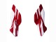 2022 Honda CBR400R Motorcycle Fairing - White Red Blue Canada Websites