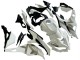 2019-2025 Kawasaki ZX25R ZX-25R Motorcycle Fairings - White Silver Green Black Trick Star Canada Websites