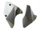 2015-2022 Kawasaki Ninja H2 Motorcycle Fairings - Silver Canada Websites