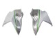 2015-2022 Kawasaki Ninja H2 Motorcycle Fairings - White Silver Green Canada Websites