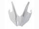 2015-2022 Kawasaki Ninja H2 Motorcycle Fairings - White Silver Green Canada Websites