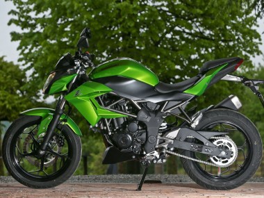 2015-2016 Kawasaki Z250/Z300 Motorcycle Fairings - Green Matte Black Canada Websites