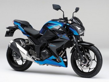 2015-2016 Kawasaki Z250/Z300 Motorcycle Fairings - Blue Matte Black Canada Websites