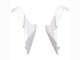 2018-2024 Kawasaki Z400 Motorcycle Fairings - White Glossy Black Green Canada Websites