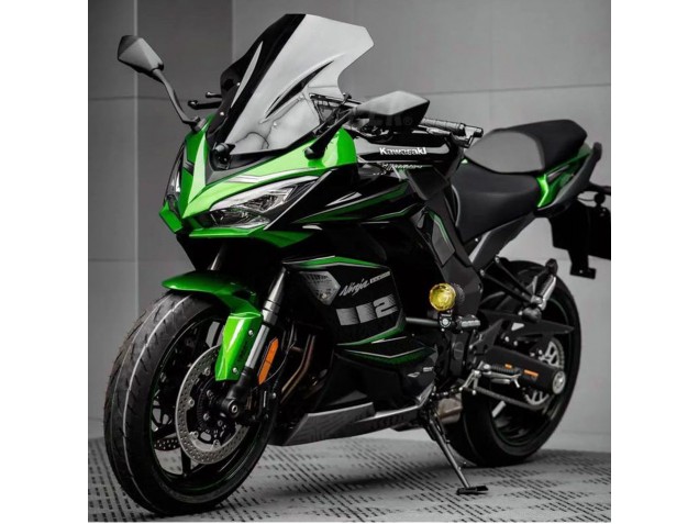 2020-2025 Kawasaki Z1000SX Motorcycle Fairing - Black Green Ninja Canada Websites