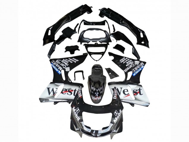 1998-2003 Kawasaki ZZR600 Motorcycle Fairings - Glossy Black White West Canada Websites