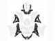 2022-2025 Kawasaki Versys 650 Motorcycle Fairings - White Canada Websites