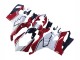 2020-2021 Ducati Panigale V4 V4S Motorcycle Fairings - White Red Green Matte Black Canada Websites
