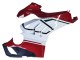 2020-2021 Ducati Panigale V4 V4S Motorcycle Fairings - White Red Green Matte Black Canada Websites