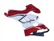 2020-2021 Ducati Panigale V4 V4S Motorcycle Fairings - White Red Green Matte Black Canada Websites