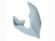 2020-2021 Ducati Panigale V4 V4S Motorcycle Fairings - Unpainted Canada Websites