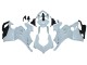 2020-2021 Ducati Panigale V4 V4S Motorcycle Fairings - Unpainted Canada Websites