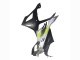 2023-2024 BMW S1000RR Motorcycle Fairings - Silver Matte Black Lime Green Canada Websites