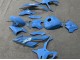 2023-2024 BMW S1000RR Motorcycle Fairings - Glossy Blue Canada Websites