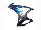 2019-2022 BMW S1000RR Motorcycle Fairings - Gradient Blue Purple Forged Carbon Fiber Canada Websites