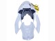 2019-2022 BMW S1000RR Motorcycle Fairings - White Gold Canada Websites