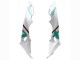 2015-2016 BMW S1000RR Motorcycle Fairings - White Green Black Canada Websites
