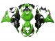 2023-2025 Kawasaki ZX6R Motorcycle Fairings - Green Black Canada Websites