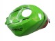 2023-2025 Kawasaki ZX6R Motorcycle Fairings - Green Black Red Yellow Dunlop Canada Websites