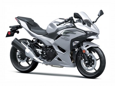 2024-2025 Kawasaki Ninja 500 EX500R Motorcycle Fairings - Metallic Silver Ninja Canada Websites
