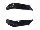 2021-2025 Kawasaki ZX10R Motorcycle Fairings - Glossy Black Canada Websites