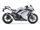 2013-2024 Kawasaki EX300 Motorcycle Fairings - White Black Canada Websites