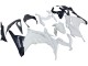 2013-2024 Kawasaki EX300 Motorcycle Fairings - White Black Canada Websites